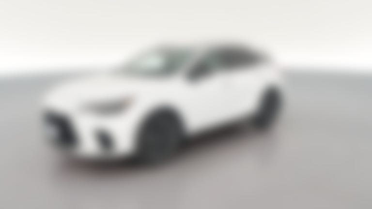 2025 Lexus RX vehicle photo