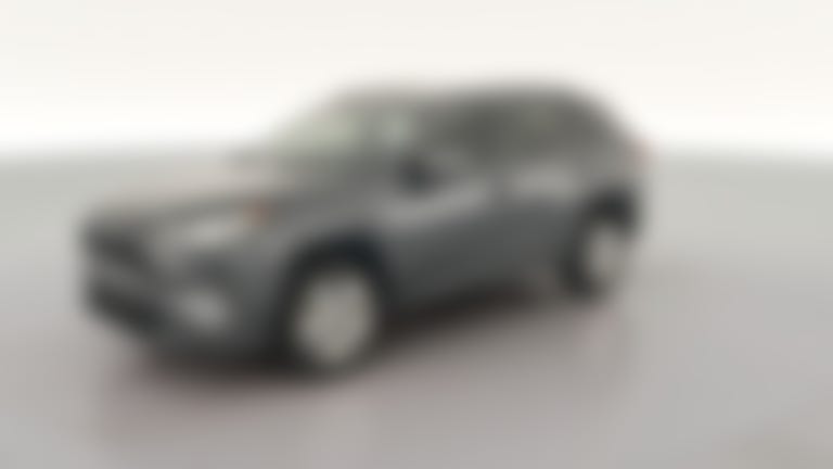 2019 Toyota RAV4 vehicle photo