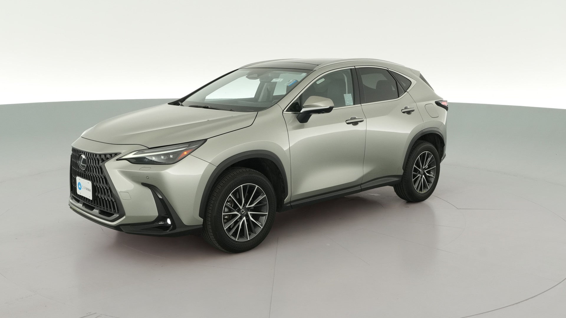 2025 Lexus NX vehicle photo