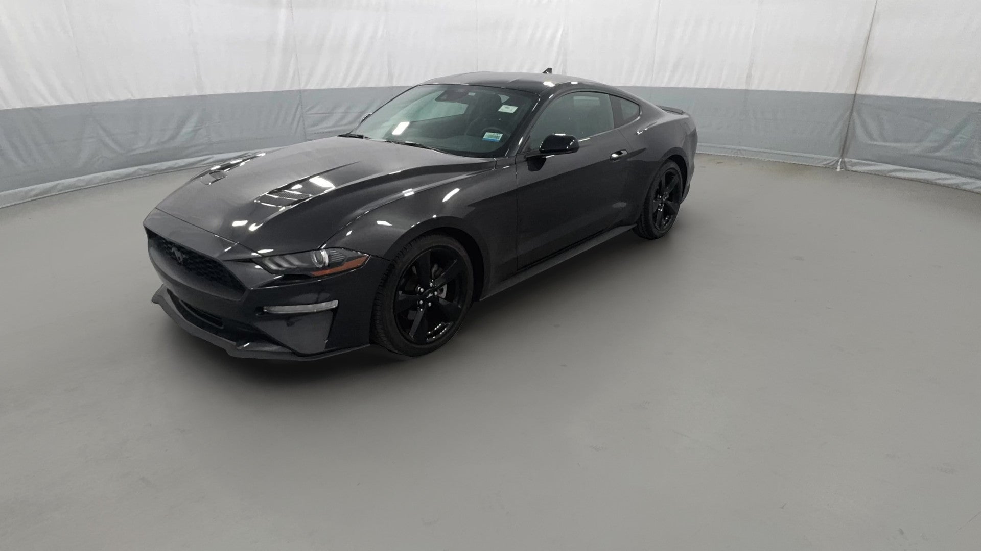 2022 Ford Mustang vehicle photo