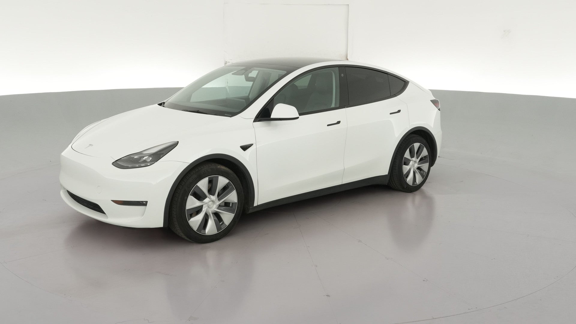 2023 Tesla Model Y vehicle photo
