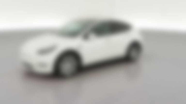 2023 Tesla Model Y vehicle photo