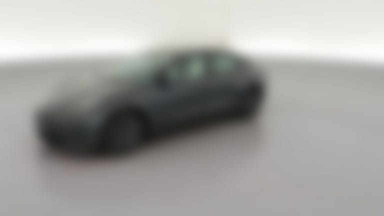 2023 Tesla Model 3 vehicle photo