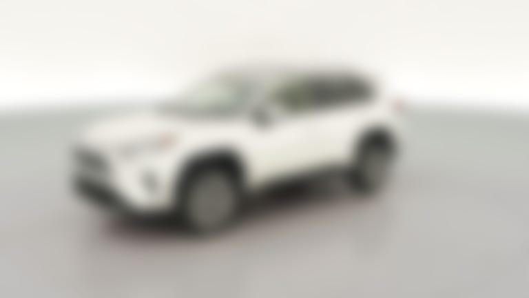 2019 Toyota RAV4 vehicle photo