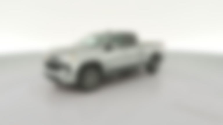 2023 Chevrolet Silverado 1500 Double Cab vehicle photo
