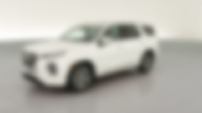 2021 Hyundai Palisade vehicle photo