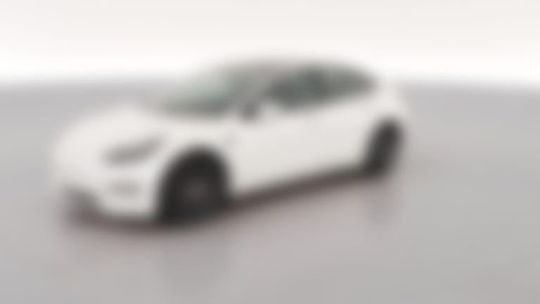 2021 Tesla Model 3 vehicle photo