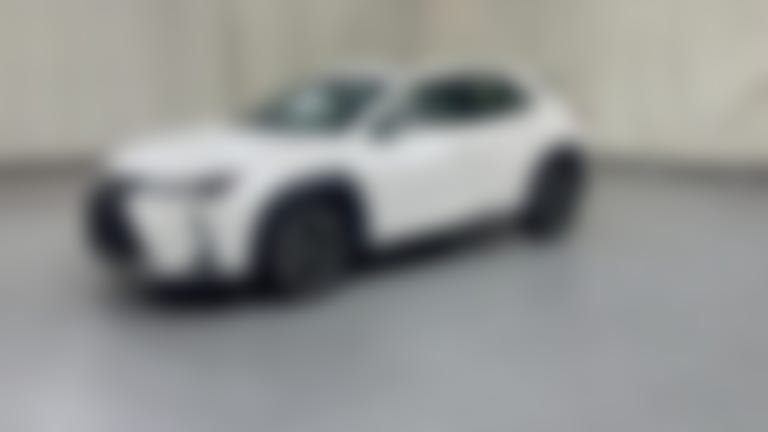 2019 Lexus UX vehicle photo