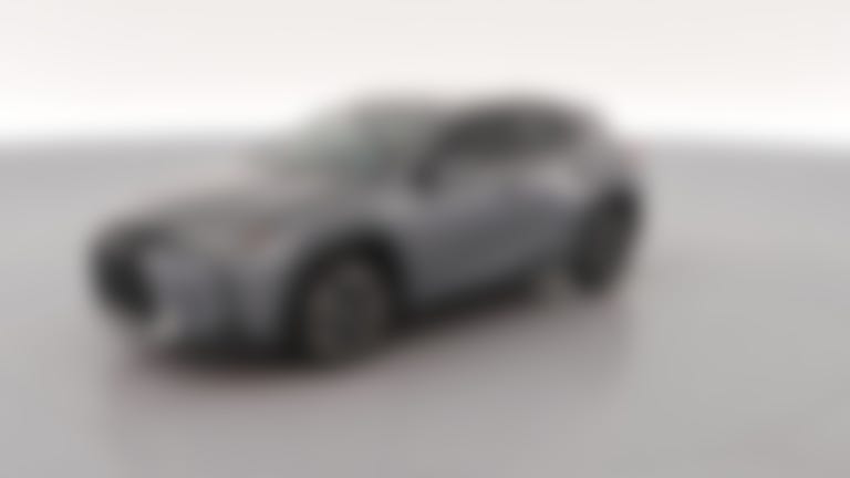 2020 Lexus UX vehicle photo