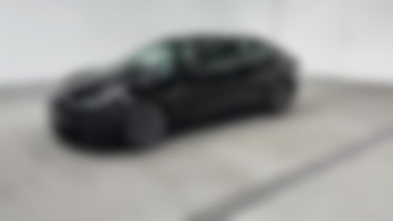 2021 Tesla Model 3 vehicle photo
