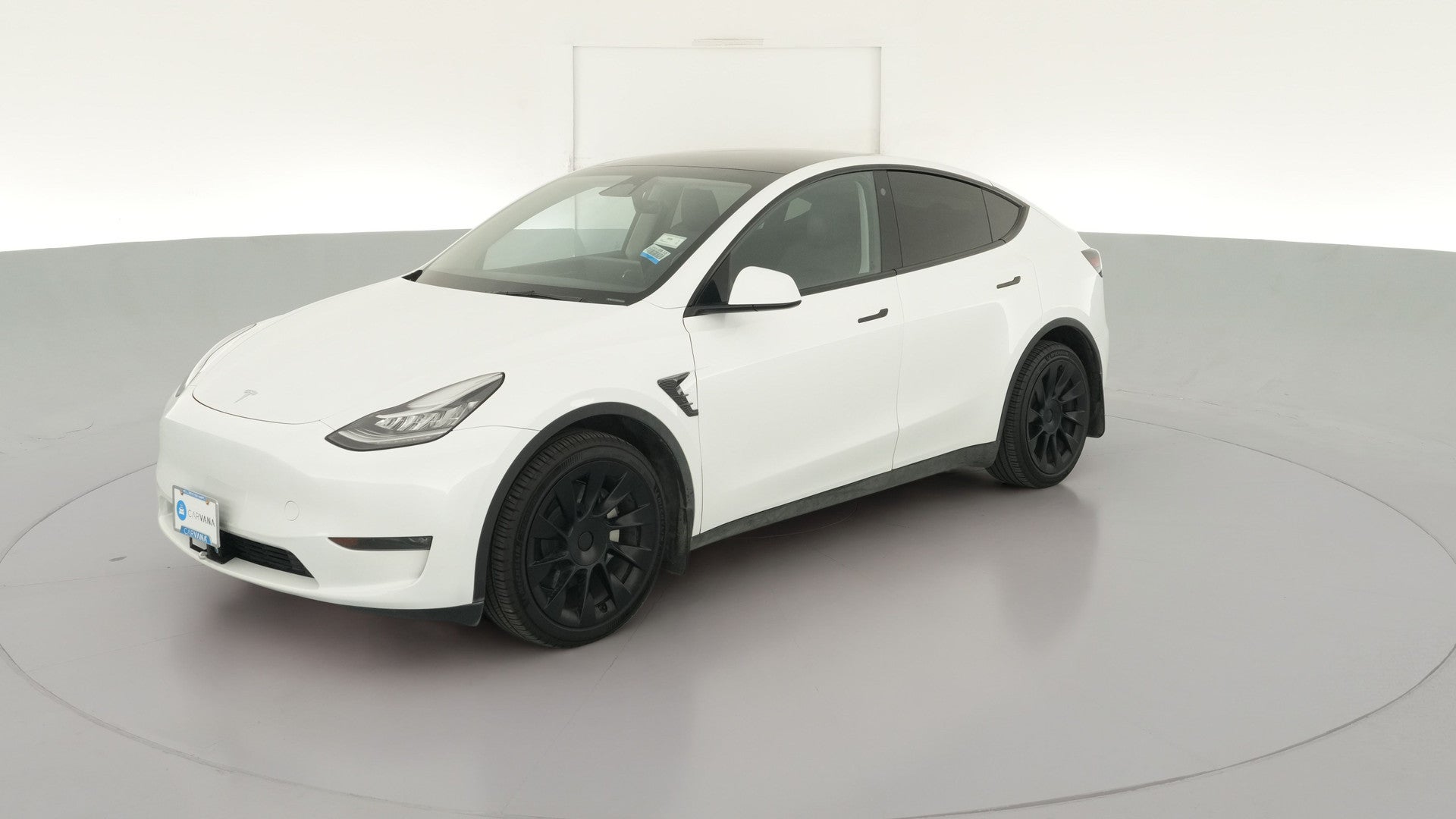2023 Tesla Model Y vehicle photo