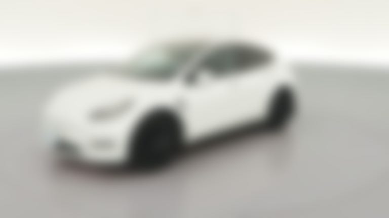 2023 Tesla Model Y vehicle photo