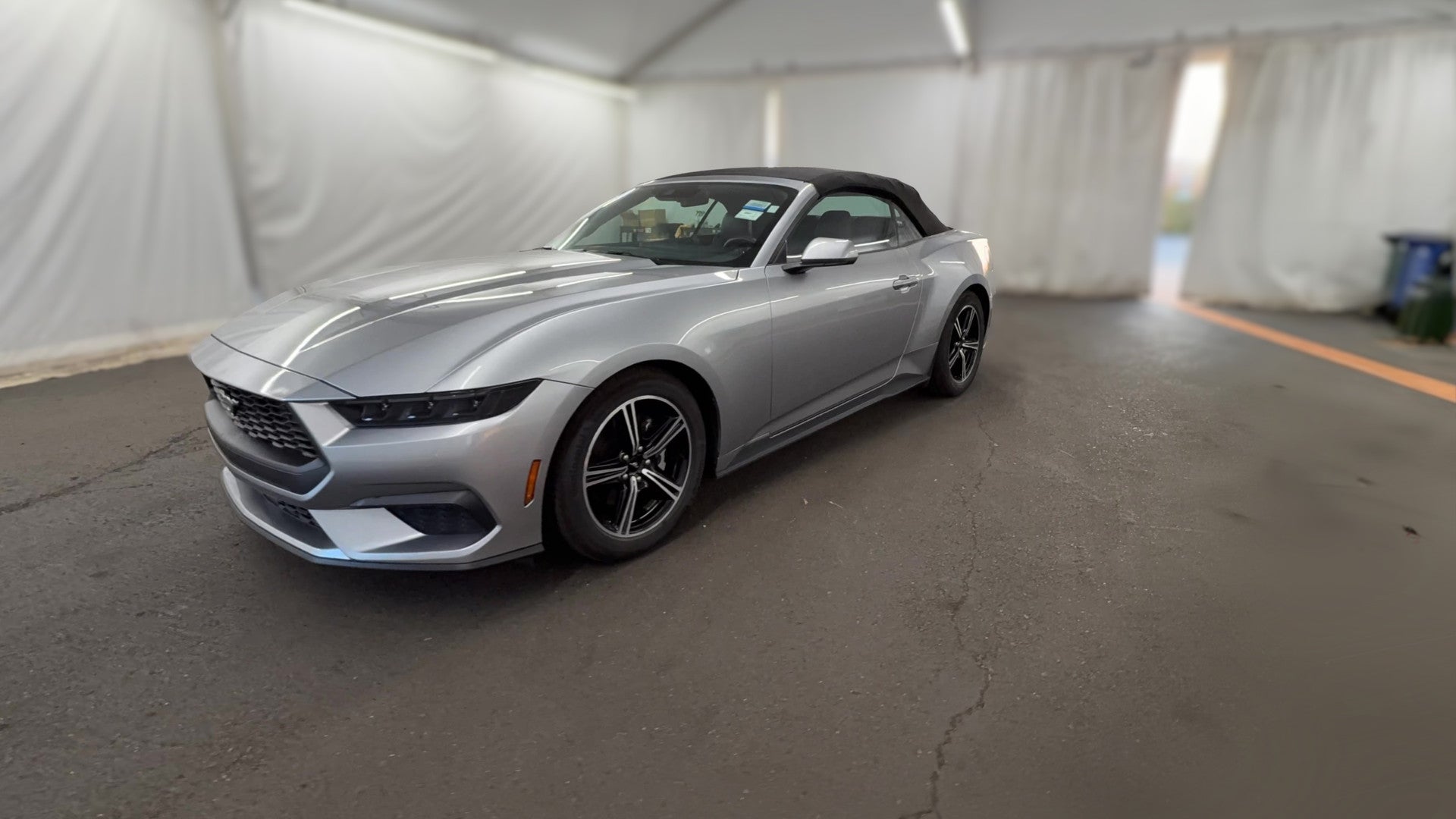 2025 Ford Mustang vehicle photo
