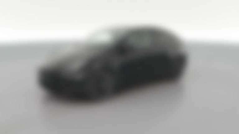 2021 Tesla Model Y vehicle photo