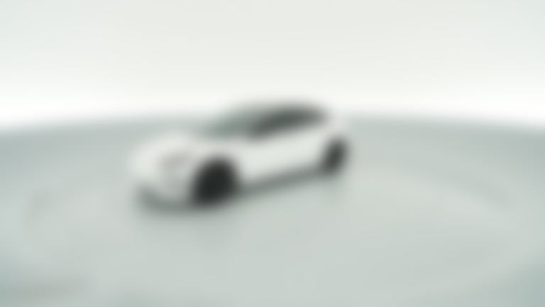 2021 Tesla Model 3 vehicle photo