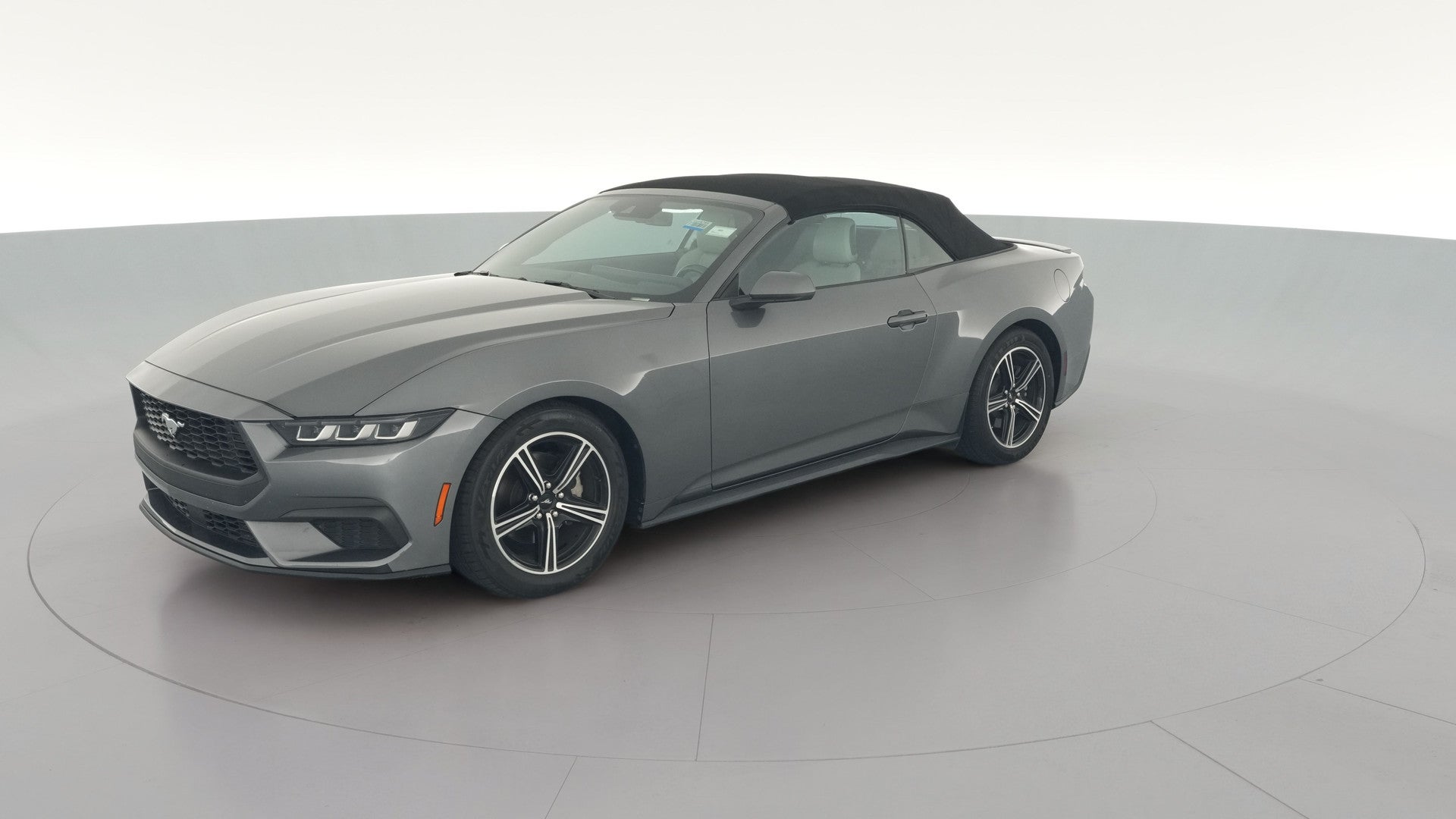 2024 Ford Mustang vehicle photo