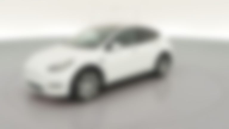 2023 Tesla Model Y vehicle photo