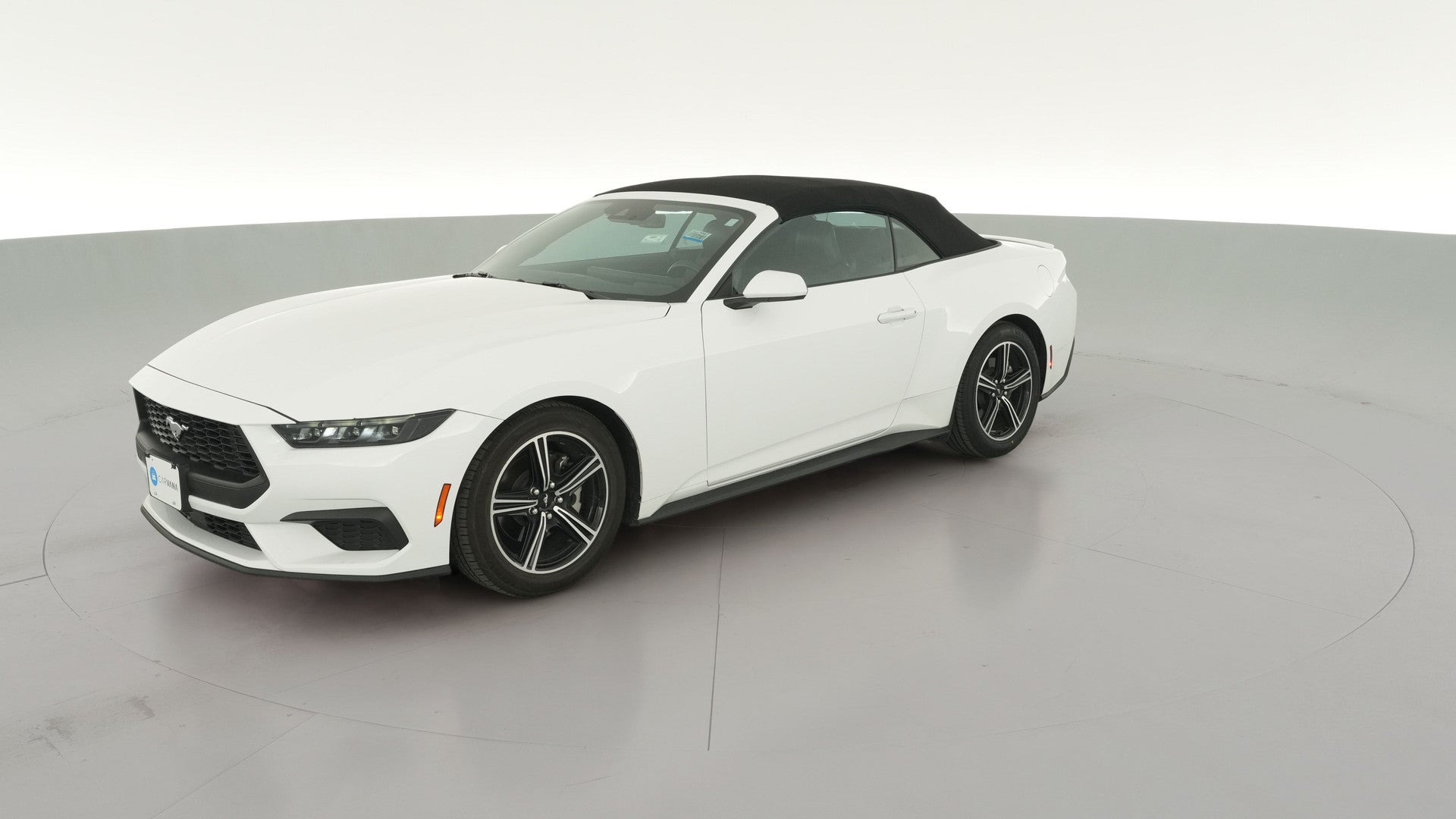 2025 Ford Mustang vehicle photo