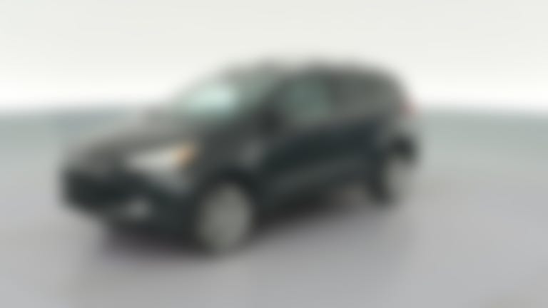 2014 Ford Escape vehicle photo