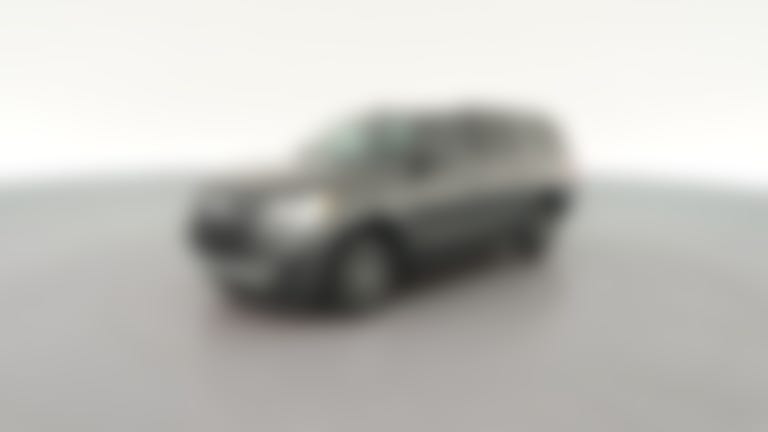 2020 Ford Expedition MAX vehicle photo