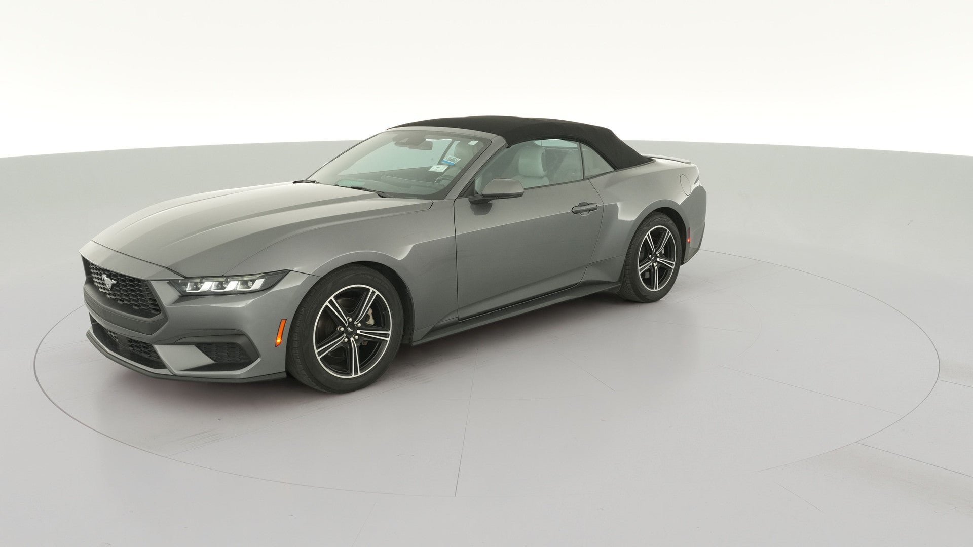 2024 Ford Mustang vehicle photo
