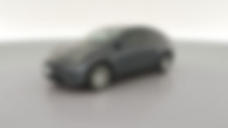 2022 Tesla Model Y vehicle photo