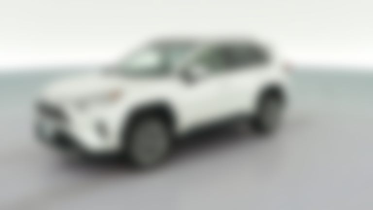 2019 Toyota RAV4 vehicle photo