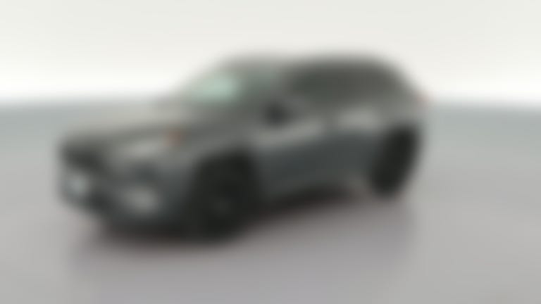 2019 Toyota RAV4 vehicle photo