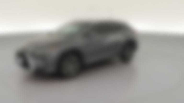 2019 Lexus RX vehicle photo