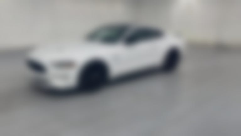 2023 Ford Mustang vehicle photo