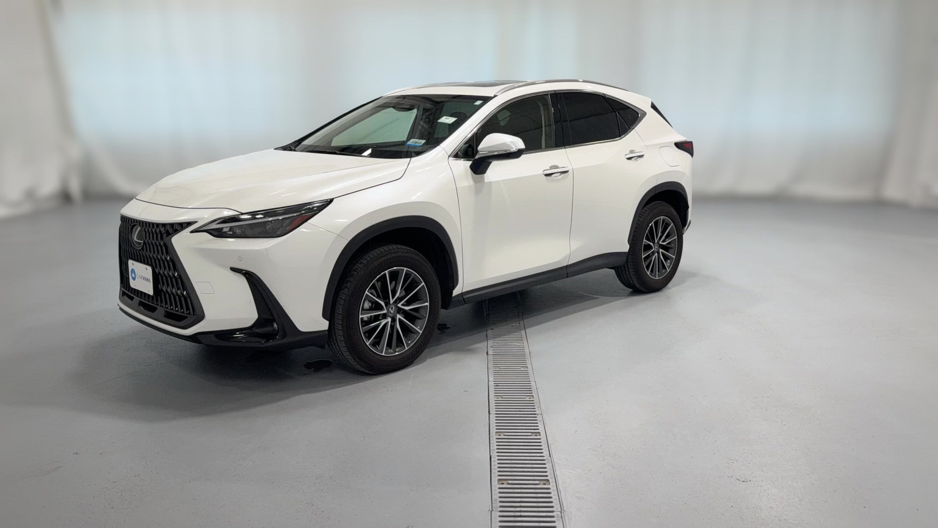 2025 Lexus NX vehicle photo