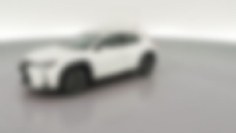 2020 Lexus UX vehicle photo
