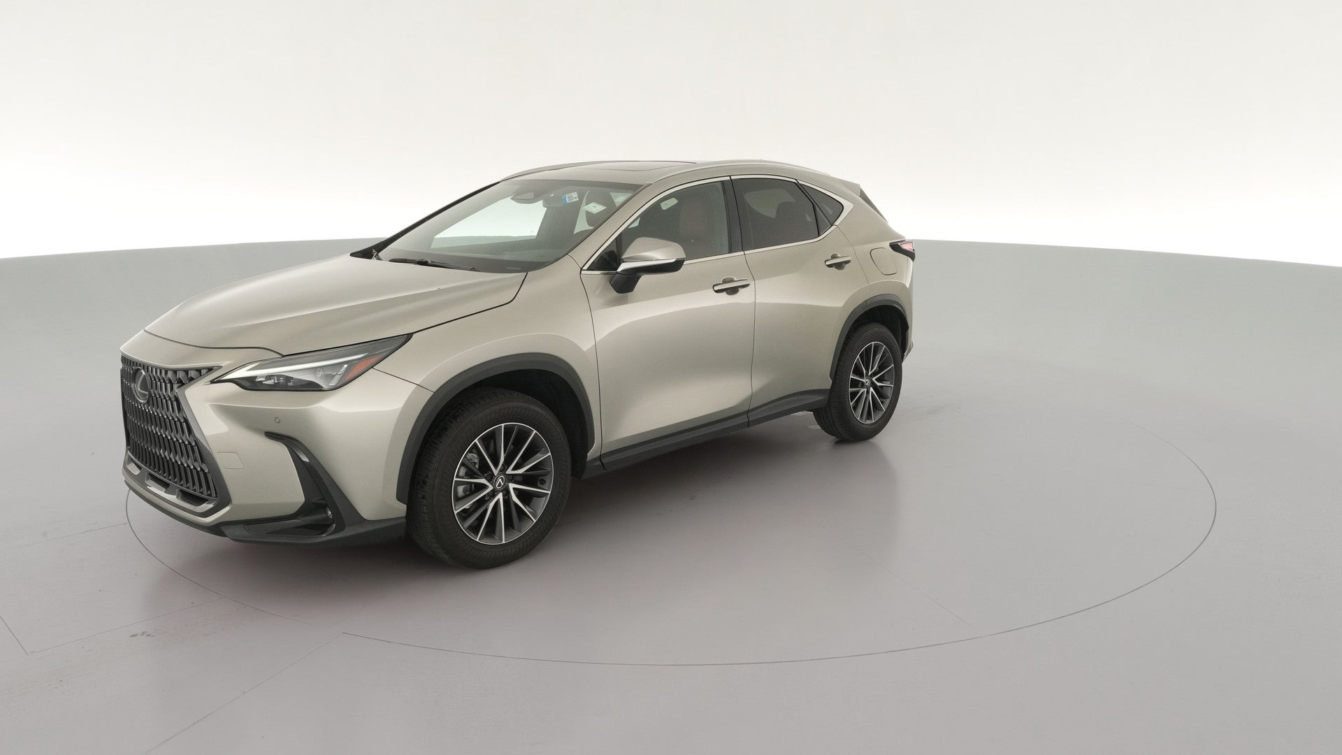 2025 Lexus NX vehicle photo