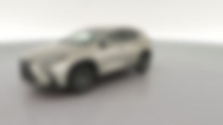 2025 Lexus NX vehicle photo