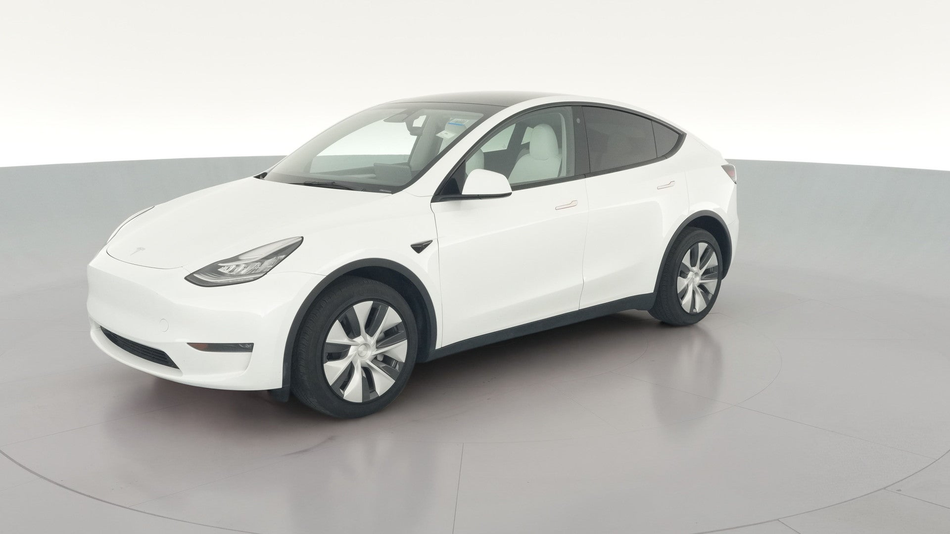 2023 Tesla Model Y vehicle photo