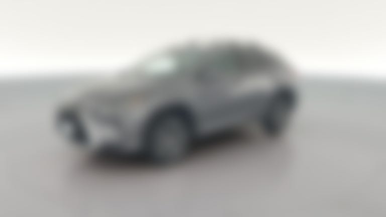 2019 Lexus RX vehicle photo