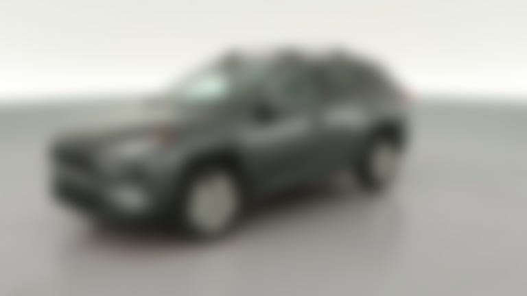2020 Toyota RAV4 vehicle photo