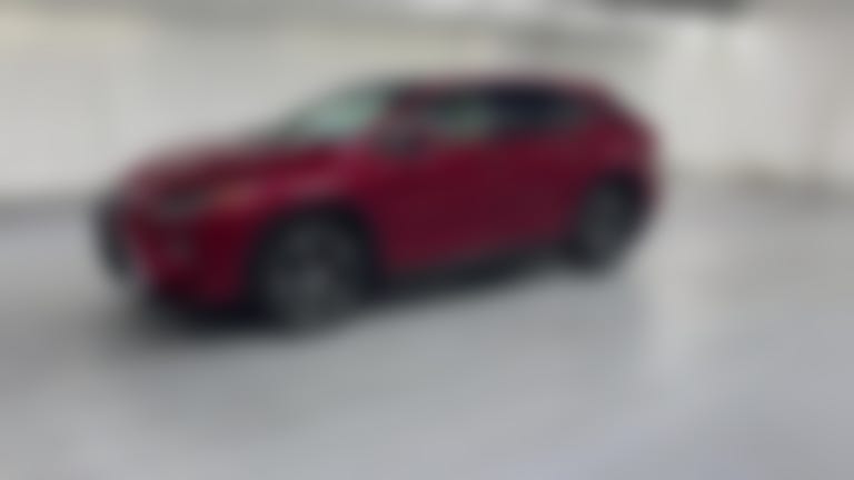 2017 Lexus RX vehicle photo