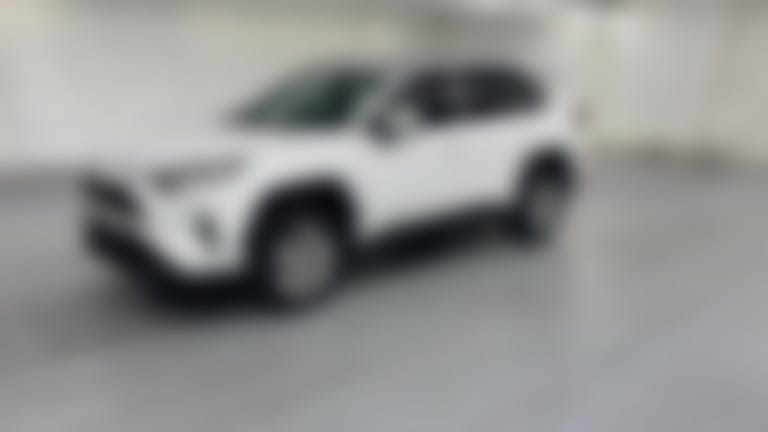 2019 Toyota RAV4 vehicle photo