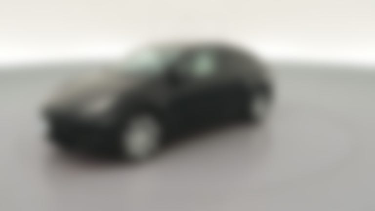2021 Tesla Model Y vehicle photo