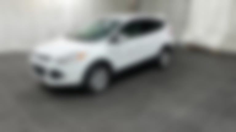 2014 Ford Escape vehicle photo