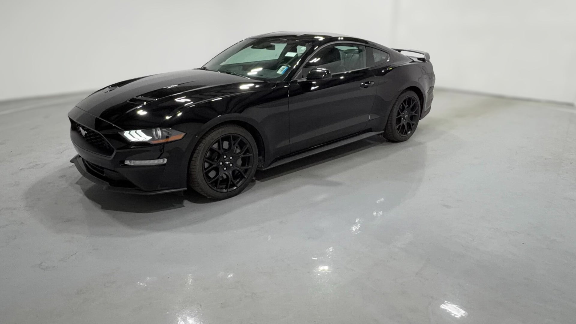 2019 Ford Mustang vehicle photo