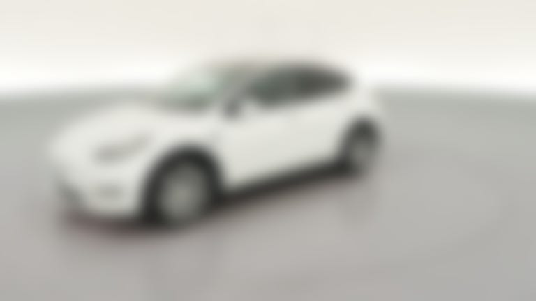 2023 Tesla Model Y vehicle photo