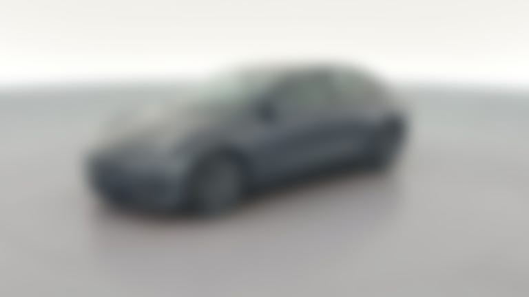 2021 Tesla Model 3 vehicle photo