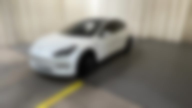 2021 Tesla Model 3 vehicle photo