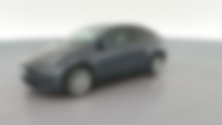 2023 Tesla Model Y vehicle photo