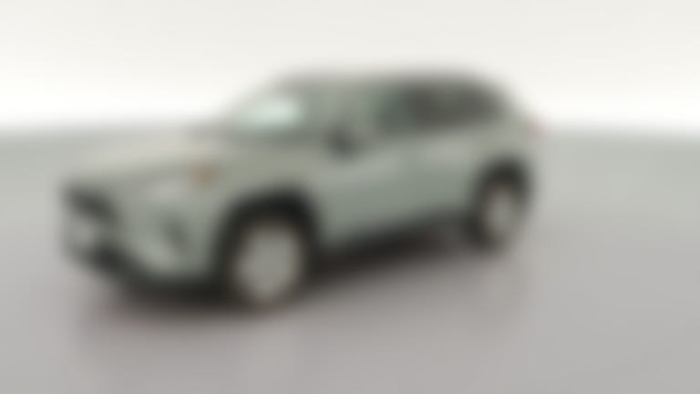 2020 Toyota RAV4 vehicle photo