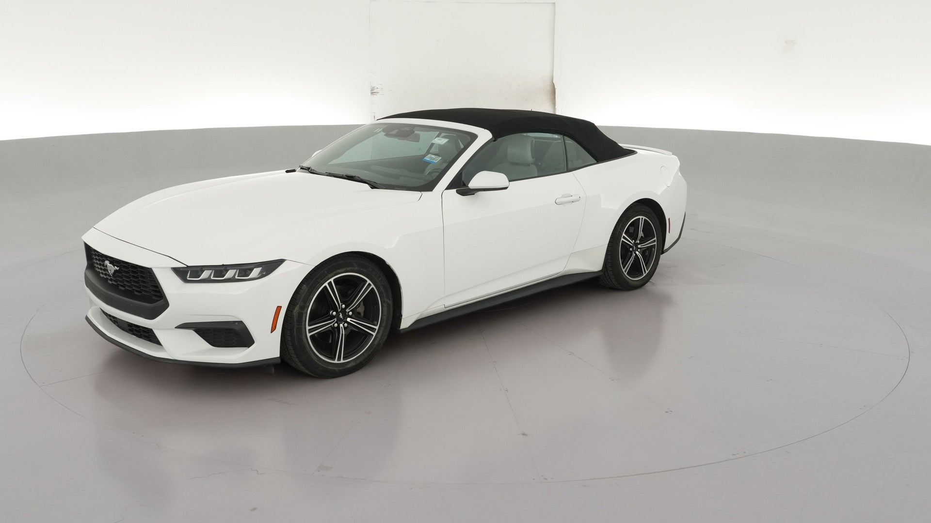 2024 Ford Mustang vehicle photo