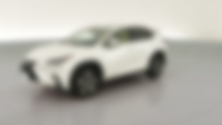 2020 Lexus NX vehicle photo