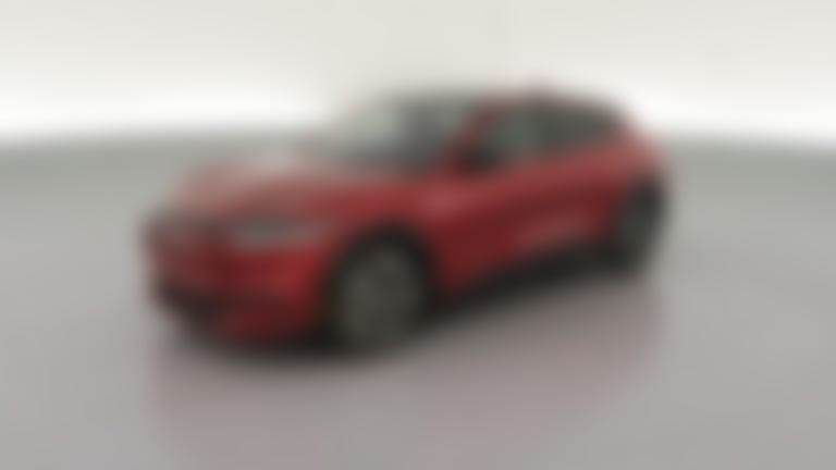 2021 Ford Mustang MACH-E vehicle photo